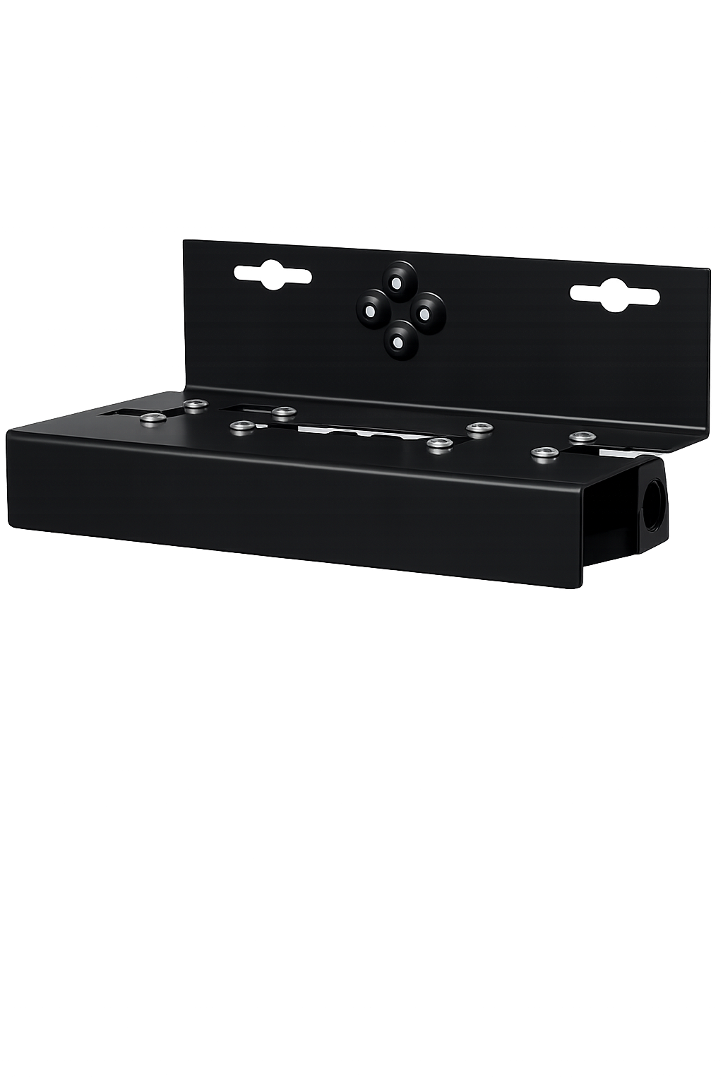 Support de montage double pour boîtiers Slim Line 10 po